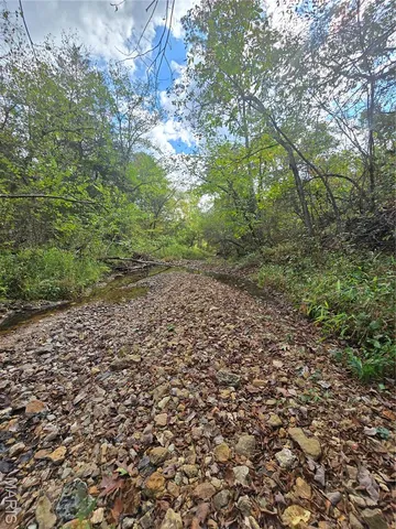 $142,500 | 30 Acres Highway, Cadet, MO 63630