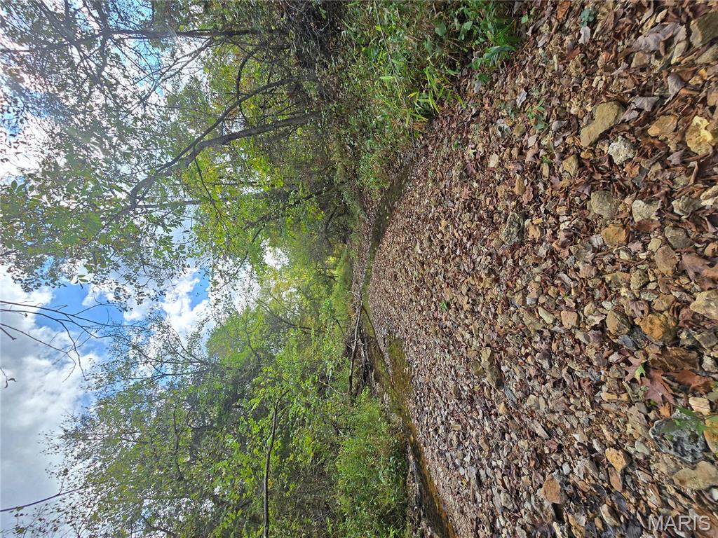 30 Acres Highway Cadet, MO 63630 - Photo 14 of 79