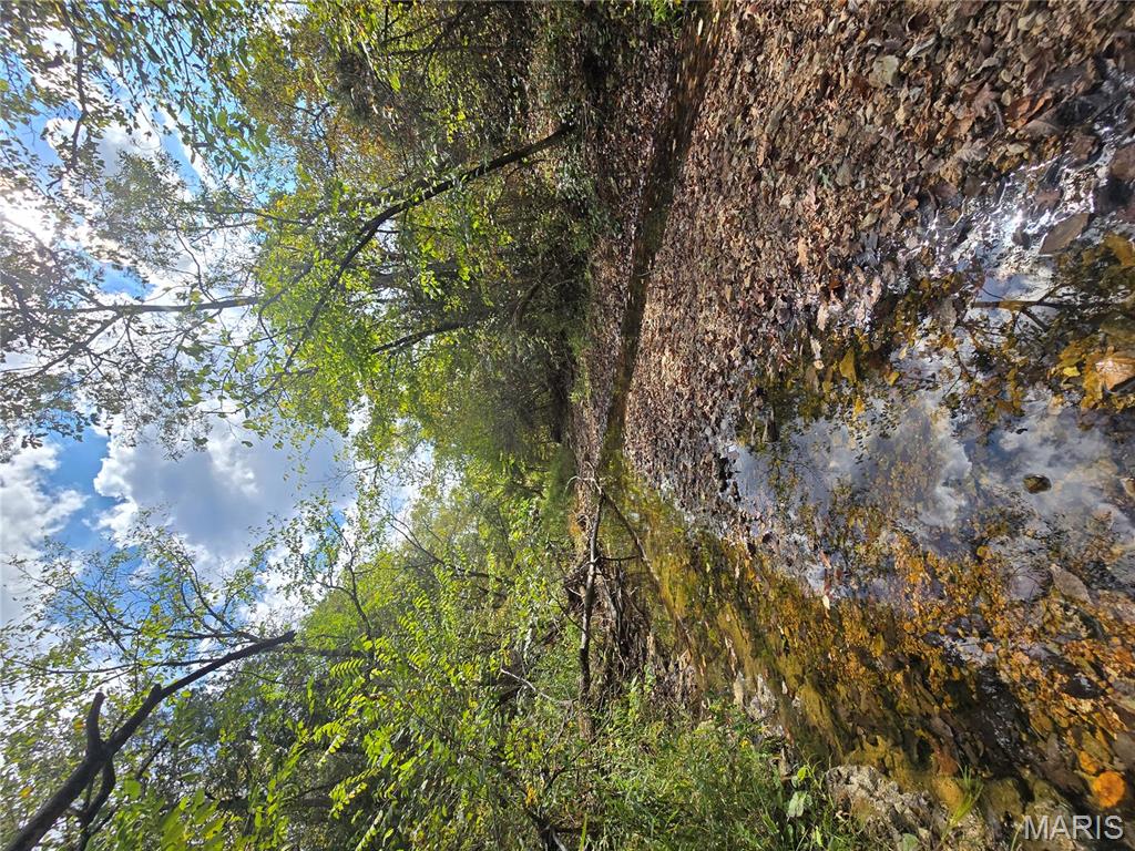 30 Acres Highway Cadet, MO 63630 - Photo 15 of 79