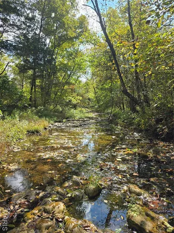 $142,500 | 30 Acres Highway, Cadet, MO 63630