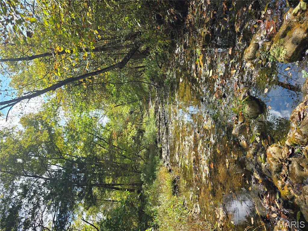 30 Acres Highway Cadet, MO 63630 - Photo 16 of 79