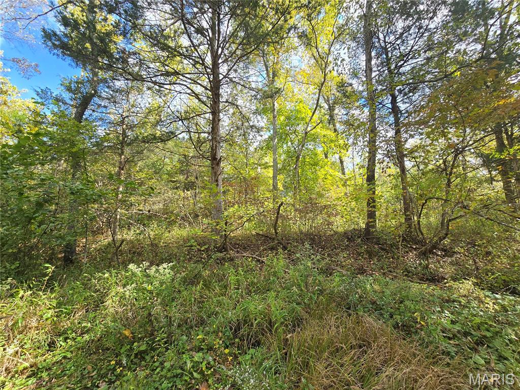 30 Acres Highway Cadet, MO 63630 - Photo 17 of 79