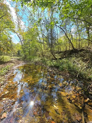 $142,500 | 30 Acres Highway, Cadet, MO 63630