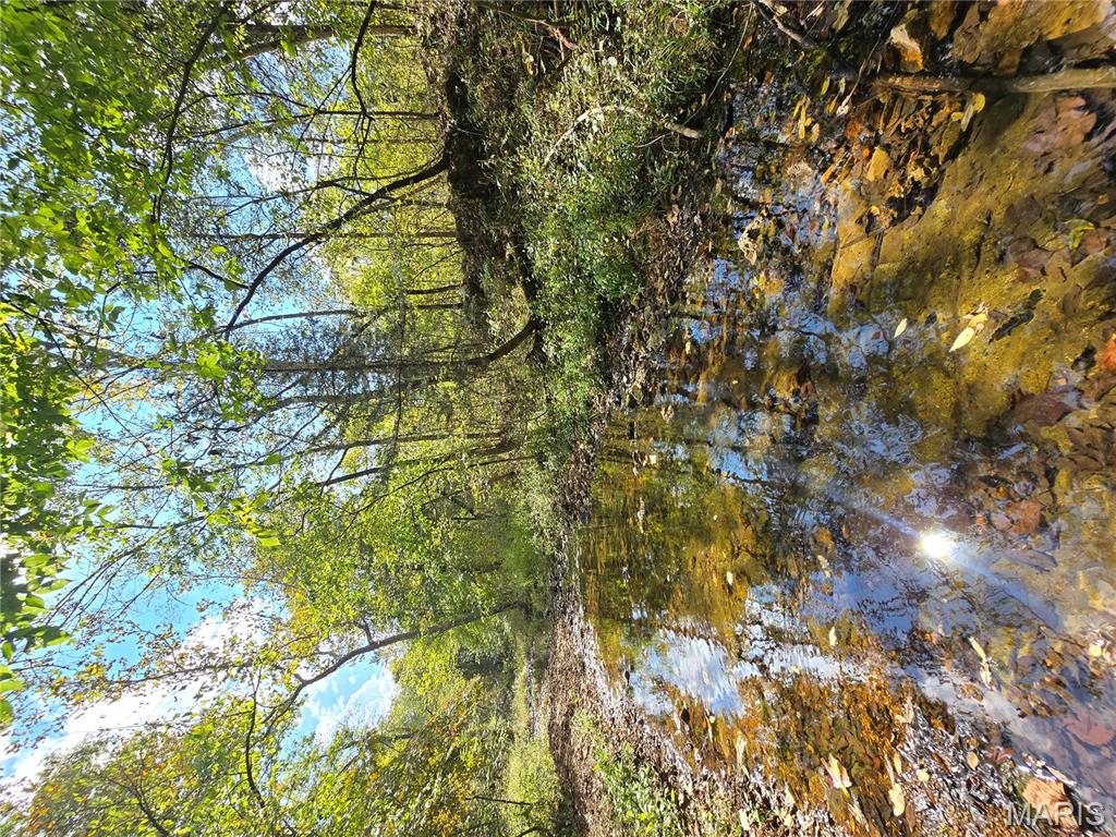 30 Acres Highway Cadet, MO 63630 - Photo 18 of 79