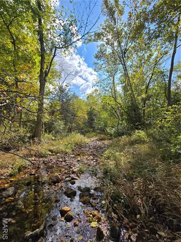 $142,500 | 30 Acres Highway, Cadet, MO 63630