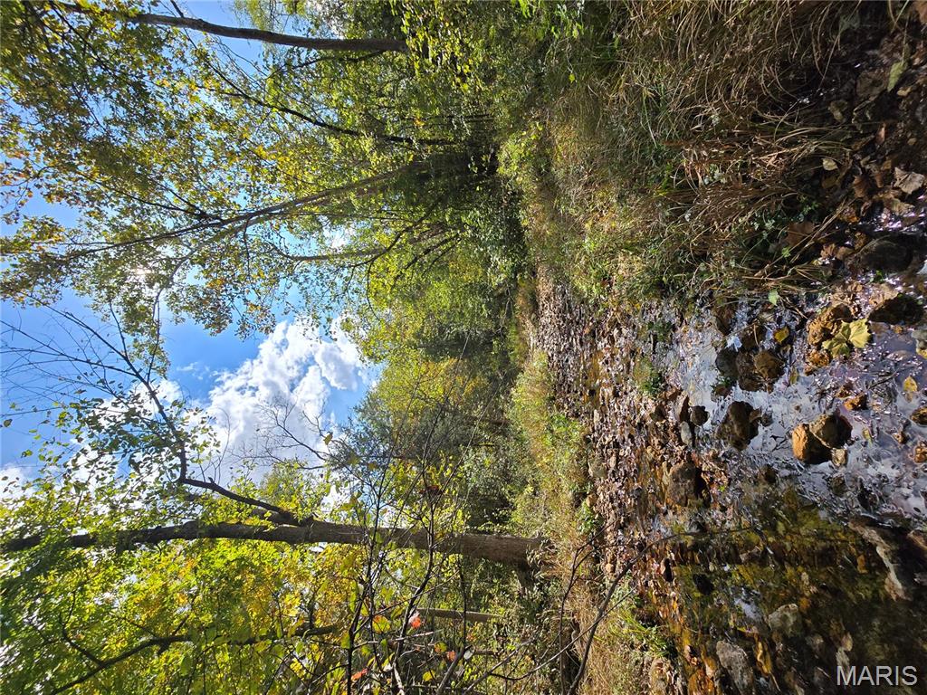 30 Acres Highway Cadet, MO 63630 - Photo 20 of 79