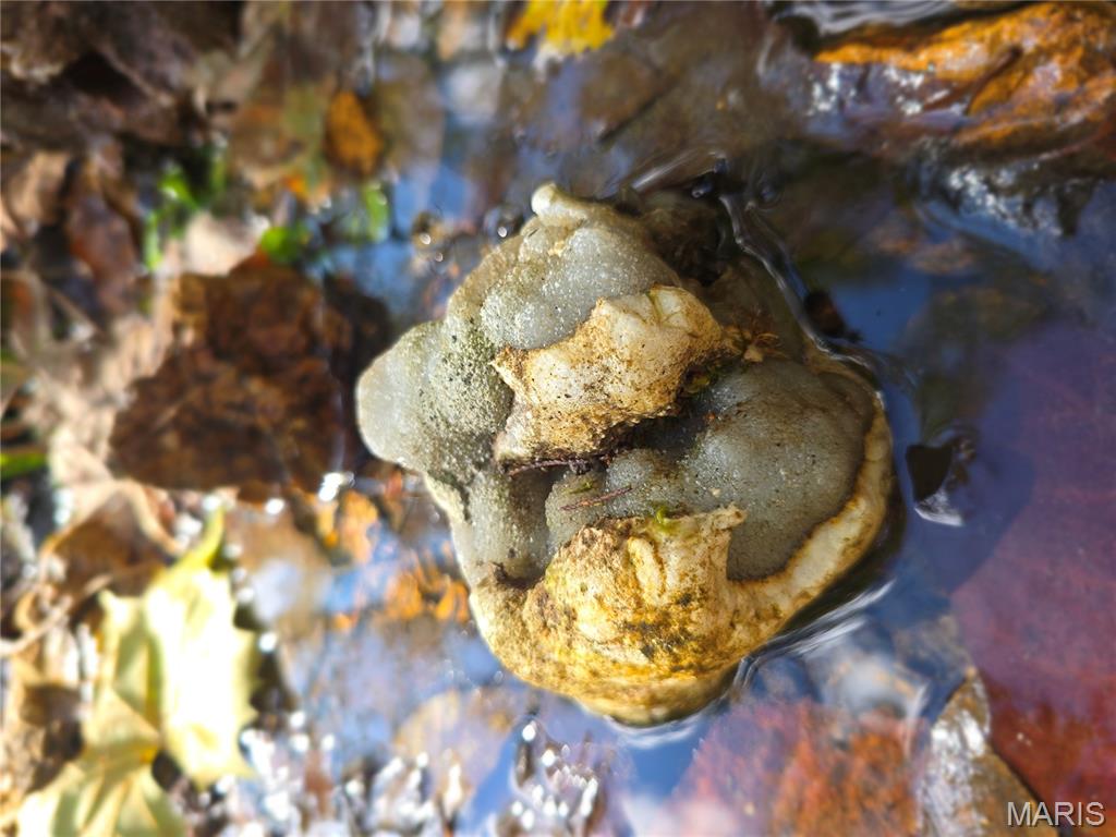 30 Acres Highway Cadet, MO 63630 - Photo 21 of 79