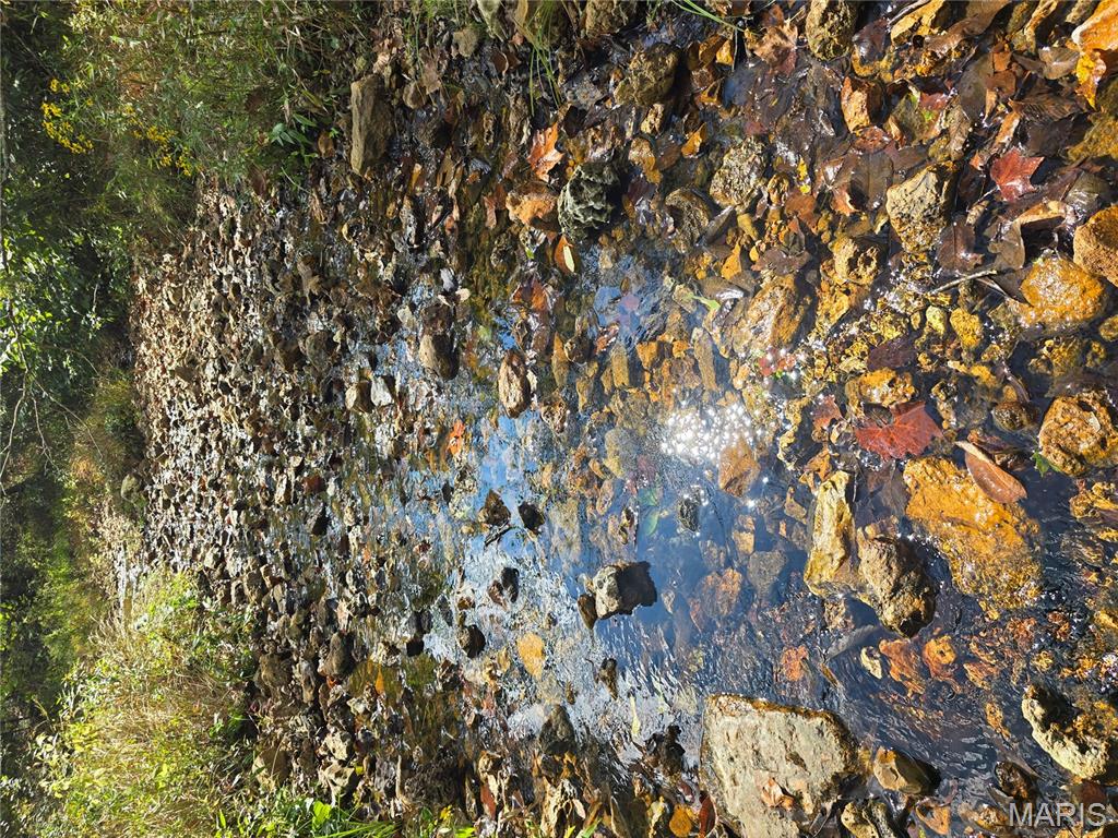 30 Acres Highway Cadet, MO 63630 - Photo 22 of 79