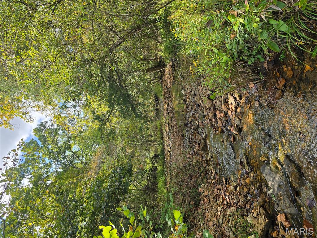 30 Acres Highway Cadet, MO 63630 - Photo 26 of 79