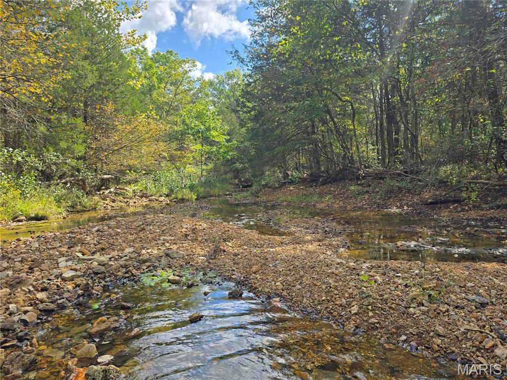 30 Acres Highway Cadet, MO 63630 - Photo 27 of 79