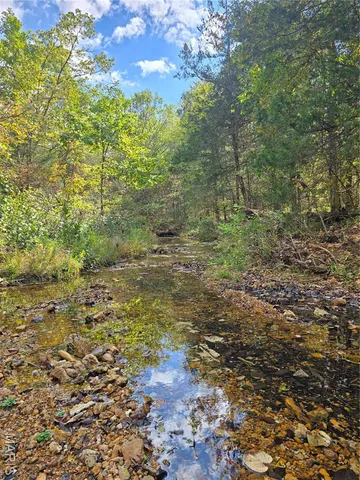 $142,500 | 30 Acres Highway, Cadet, MO 63630