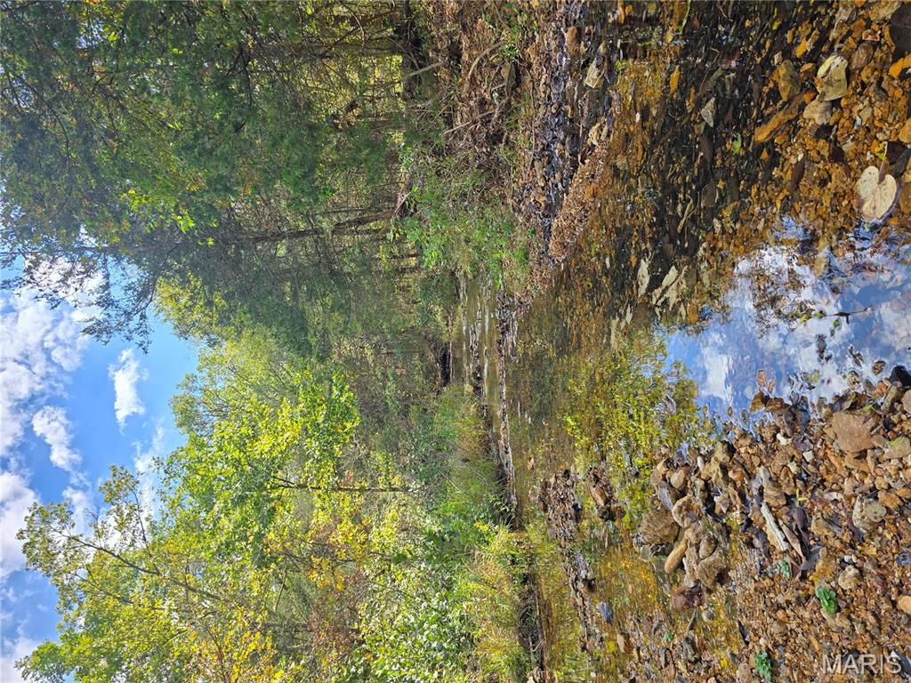 30 Acres Highway Cadet, MO 63630 - Photo 29 of 79