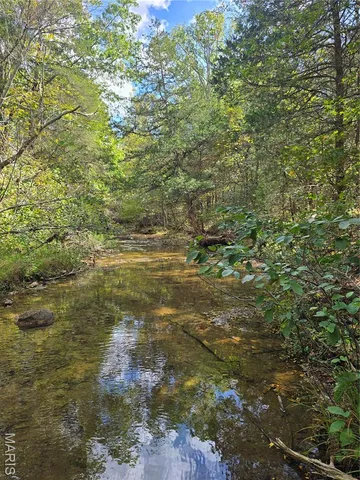 $142,500 | 30 Acres Highway, Cadet, MO 63630