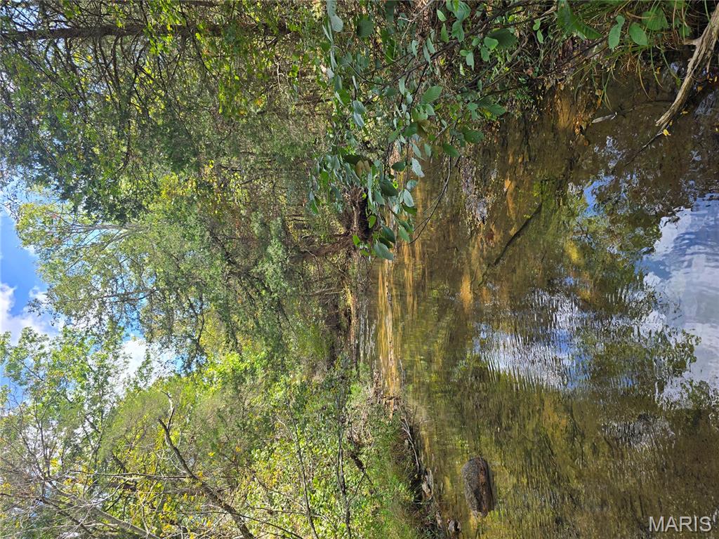 30 Acres Highway Cadet, MO 63630 - Photo 30 of 79