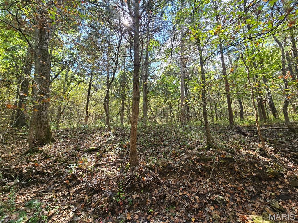 30 Acres Highway Cadet, MO 63630 - Photo 34 of 79