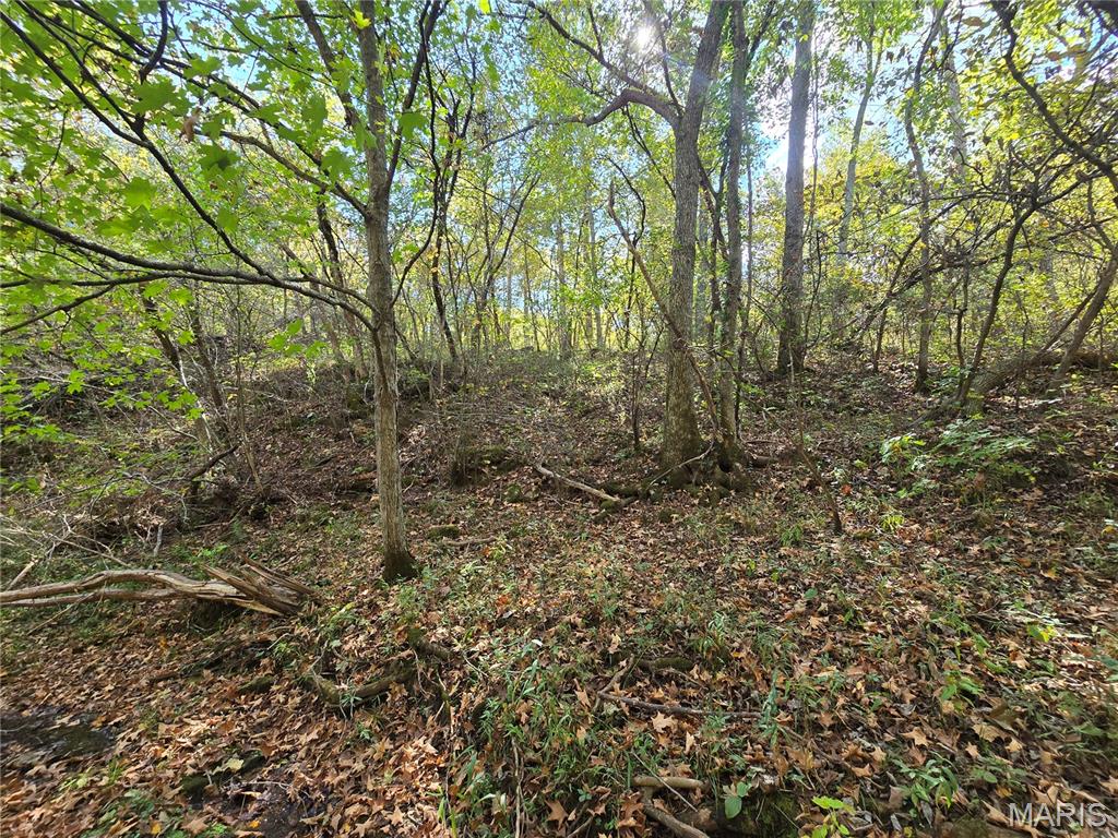 30 Acres Highway Cadet, MO 63630 - Photo 35 of 79