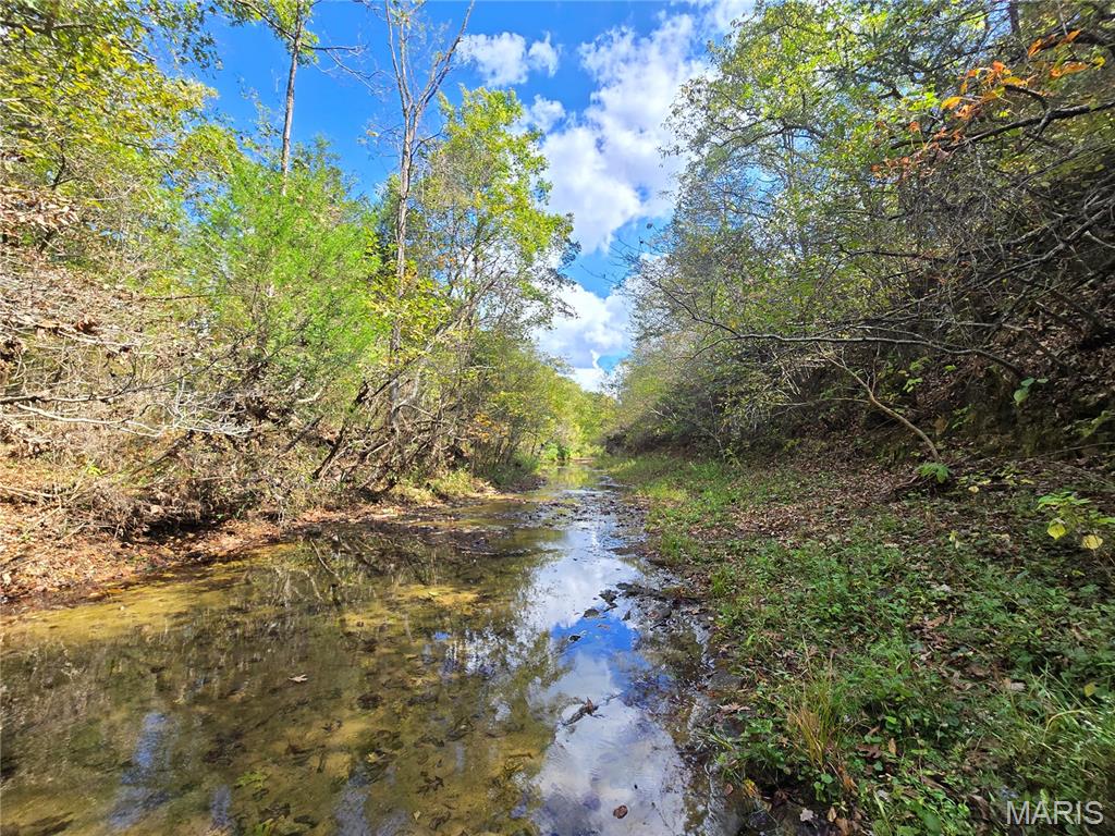 30 Acres Highway Cadet, MO 63630 - Photo 36 of 79