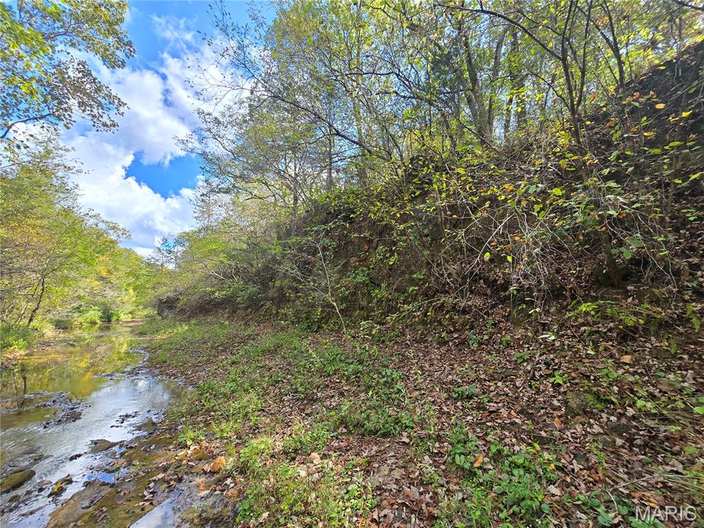 30 Acres Highway Cadet, MO 63630 - Photo 37 of 79