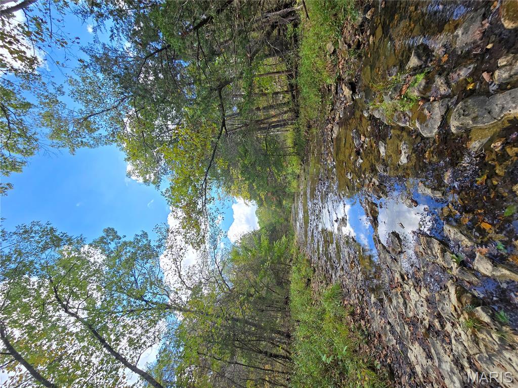 30 Acres Highway Cadet, MO 63630 - Photo 39 of 79