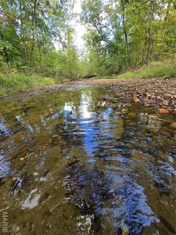 $142,500 | 30 Acres Highway, Cadet, MO 63630