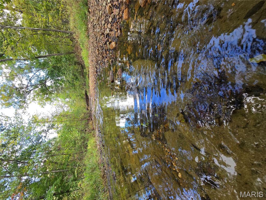 30 Acres Highway Cadet, MO 63630 - Photo 40 of 79