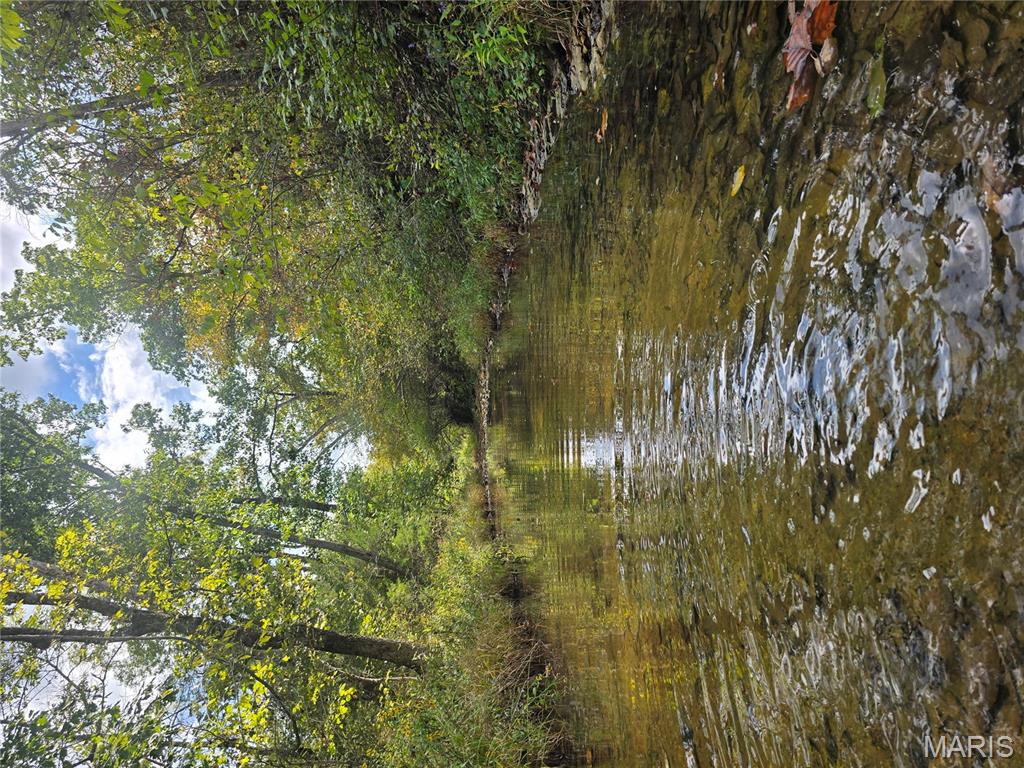 30 Acres Highway Cadet, MO 63630 - Photo 4 of 79