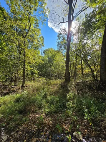 $142,500 | 30 Acres Highway, Cadet, MO 63630