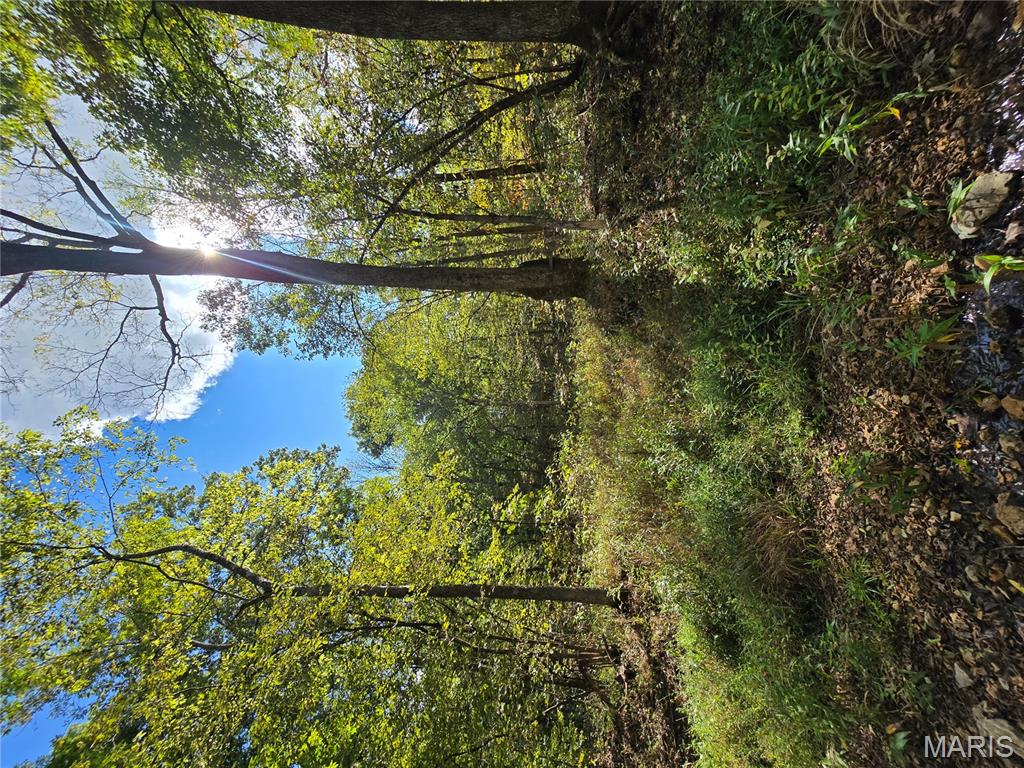 30 Acres Highway Cadet, MO 63630 - Photo 41 of 79