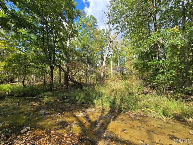 $142,500 | 30 Acres Highway, Cadet, MO 63630