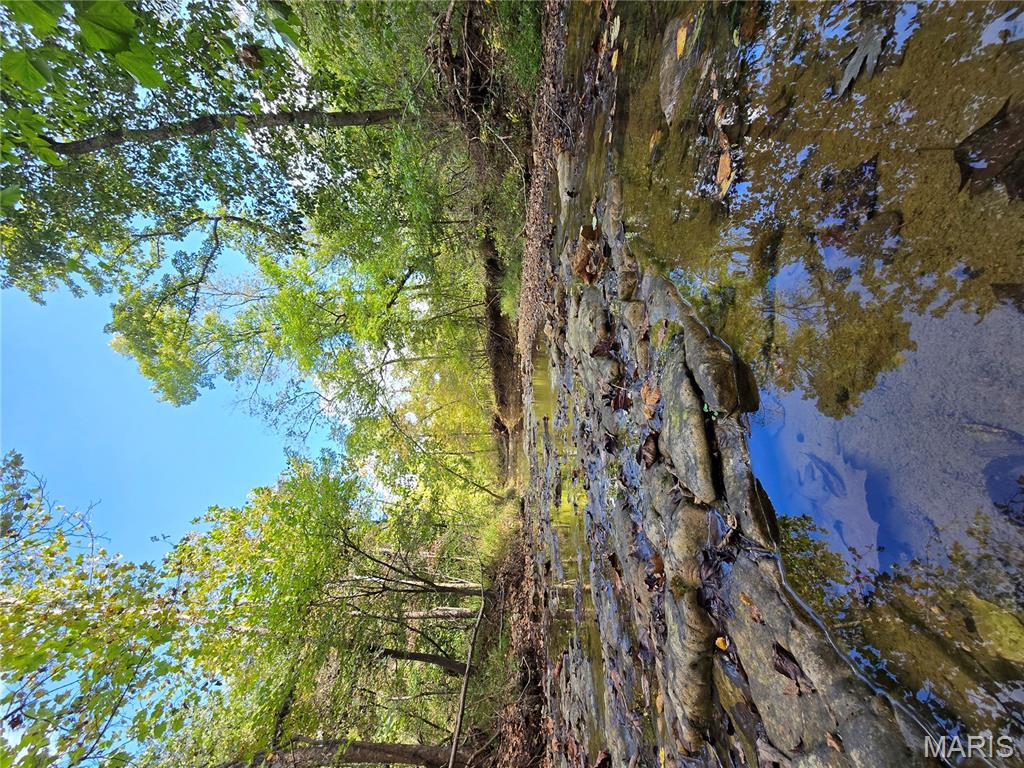 30 Acres Highway Cadet, MO 63630 - Photo 43 of 79