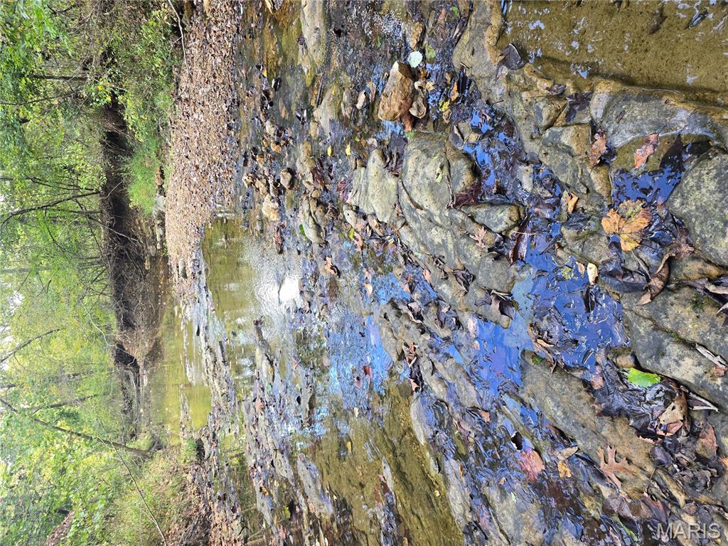 30 Acres Highway Cadet, MO 63630 - Photo 44 of 79