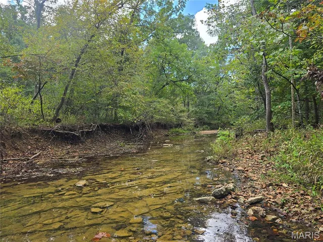 $142,500 | 30 Acres Highway, Cadet, MO 63630