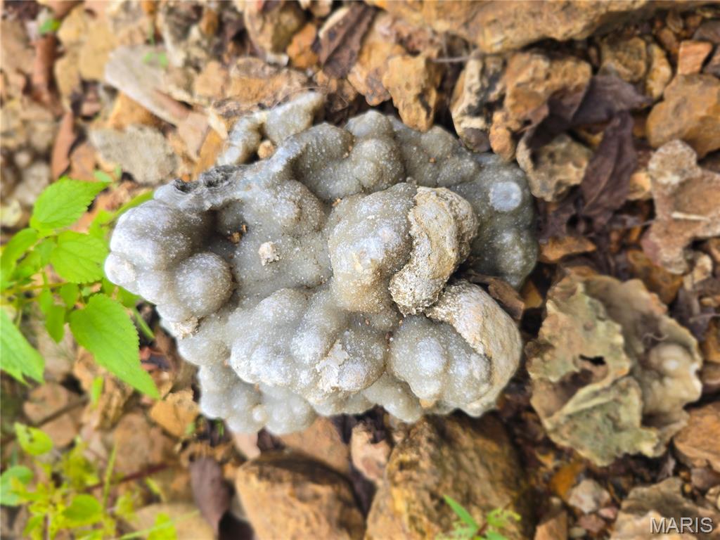 30 Acres Highway Cadet, MO 63630 - Photo 52 of 79