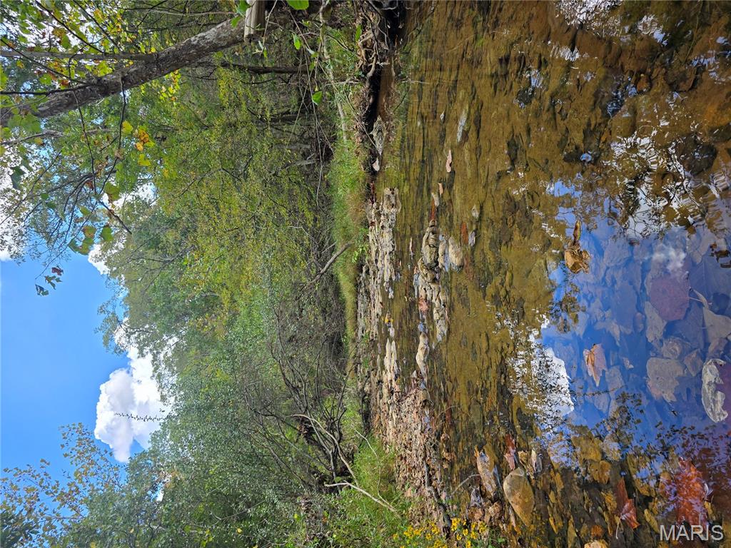 30 Acres Highway Cadet, MO 63630 - Photo 53 of 79