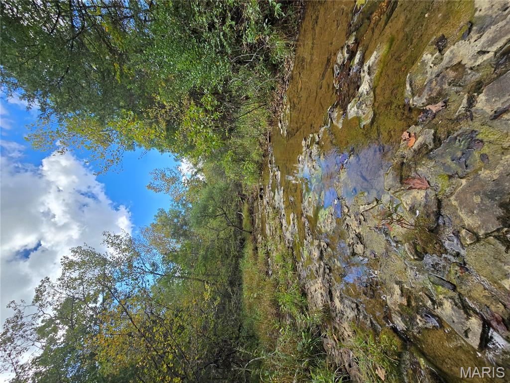 30 Acres Highway Cadet, MO 63630 - Photo 55 of 79