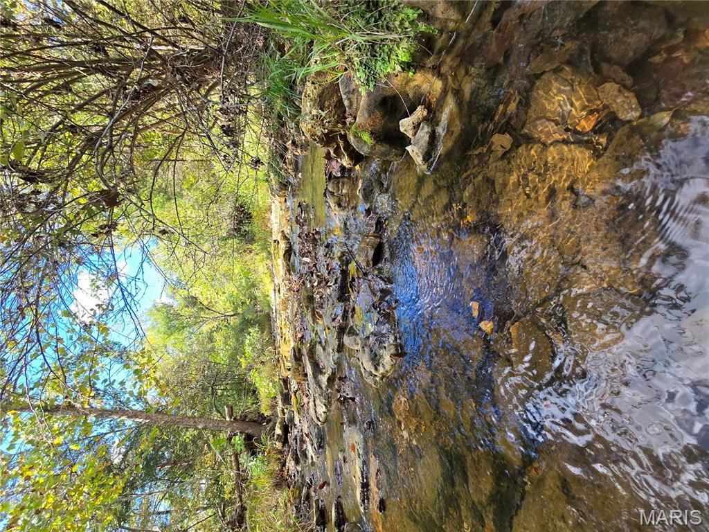 30 Acres Highway Cadet, MO 63630 - Photo 56 of 79