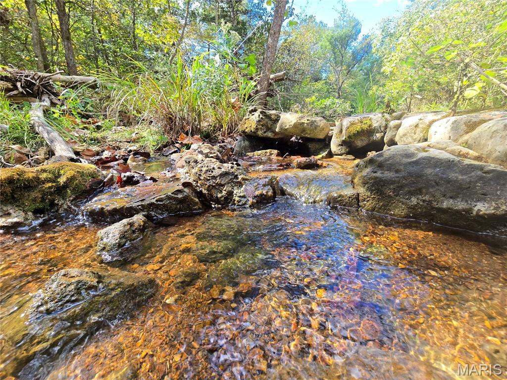 30 Acres Highway Cadet, MO 63630 - Photo 57 of 79