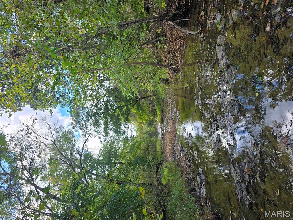 30 Acres Highway Cadet, MO 63630 - Photo 61 of 79