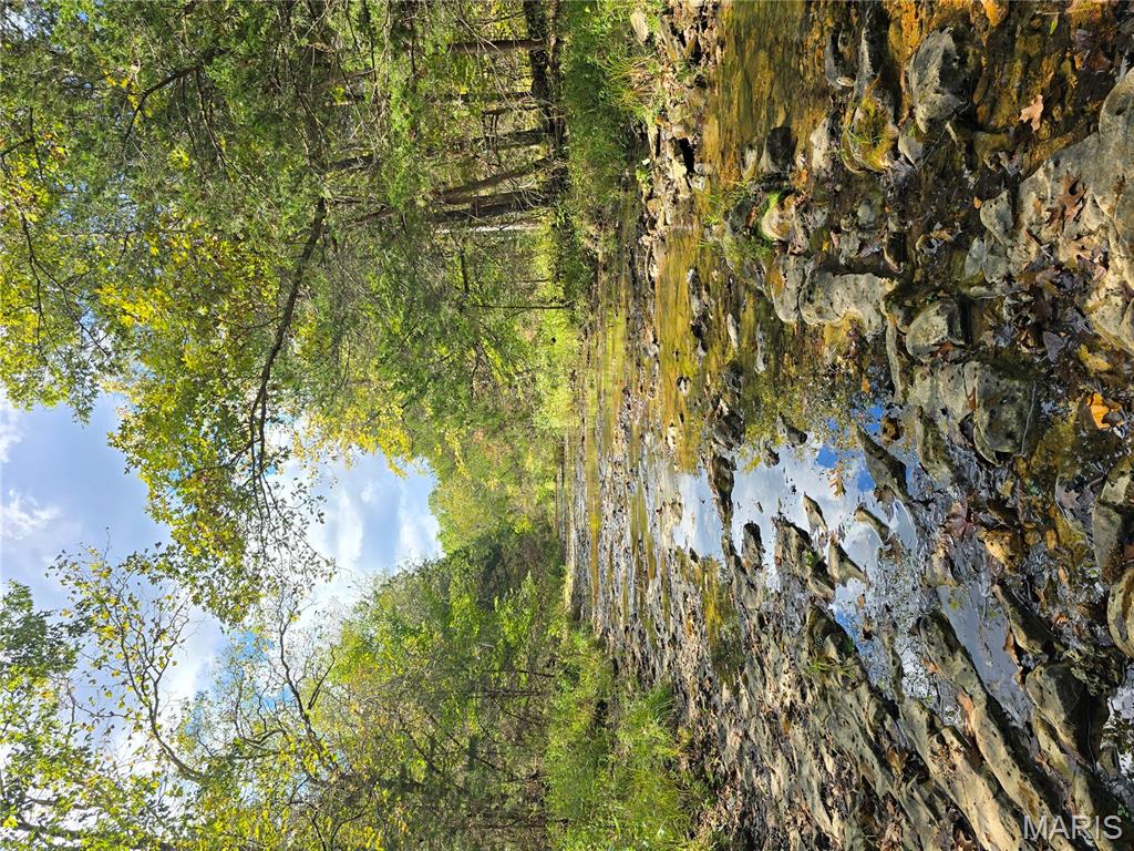 30 Acres Highway Cadet, MO 63630 - Photo 63 of 79