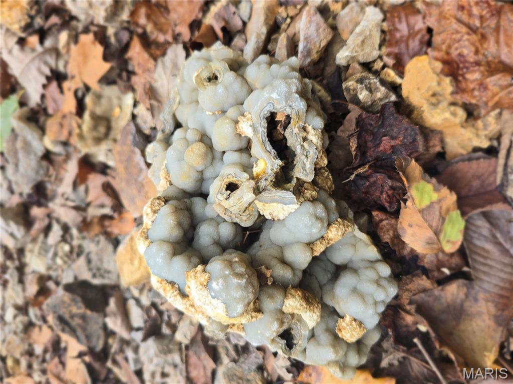 30 Acres Highway Cadet, MO 63630 - Photo 65 of 79