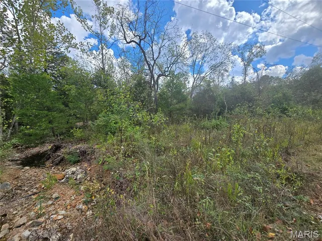 $142,500 | 30 Acres Highway, Cadet, MO 63630
