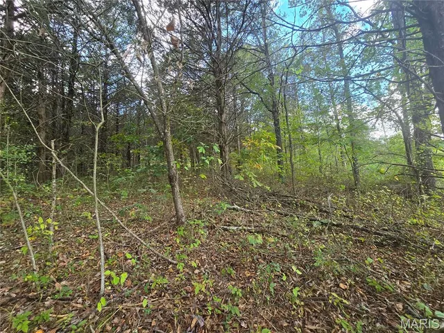 $142,500 | 30 Acres Highway, Cadet, MO 63630