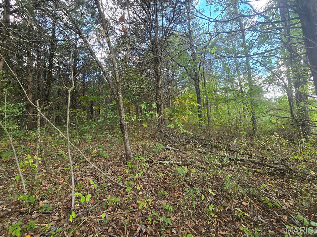 30 Acres Highway Cadet, MO 63630 - Photo 70 of 79