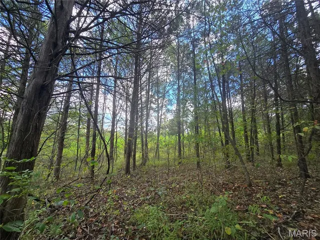 $142,500 | 30 Acres Highway, Cadet, MO 63630