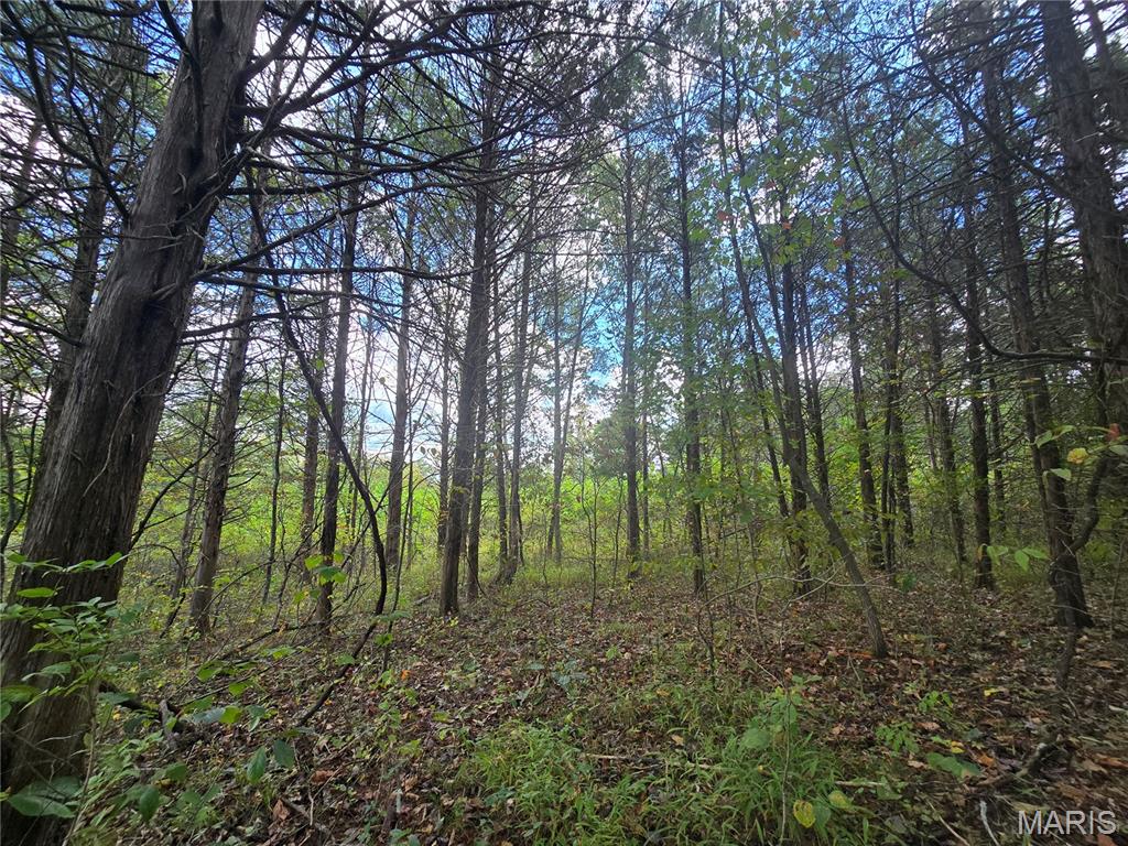 30 Acres Highway Cadet, MO 63630 - Photo 71 of 79