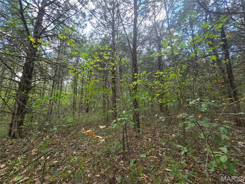 30 Acres Highway Cadet, MO 63630 - Photo 72 of 79