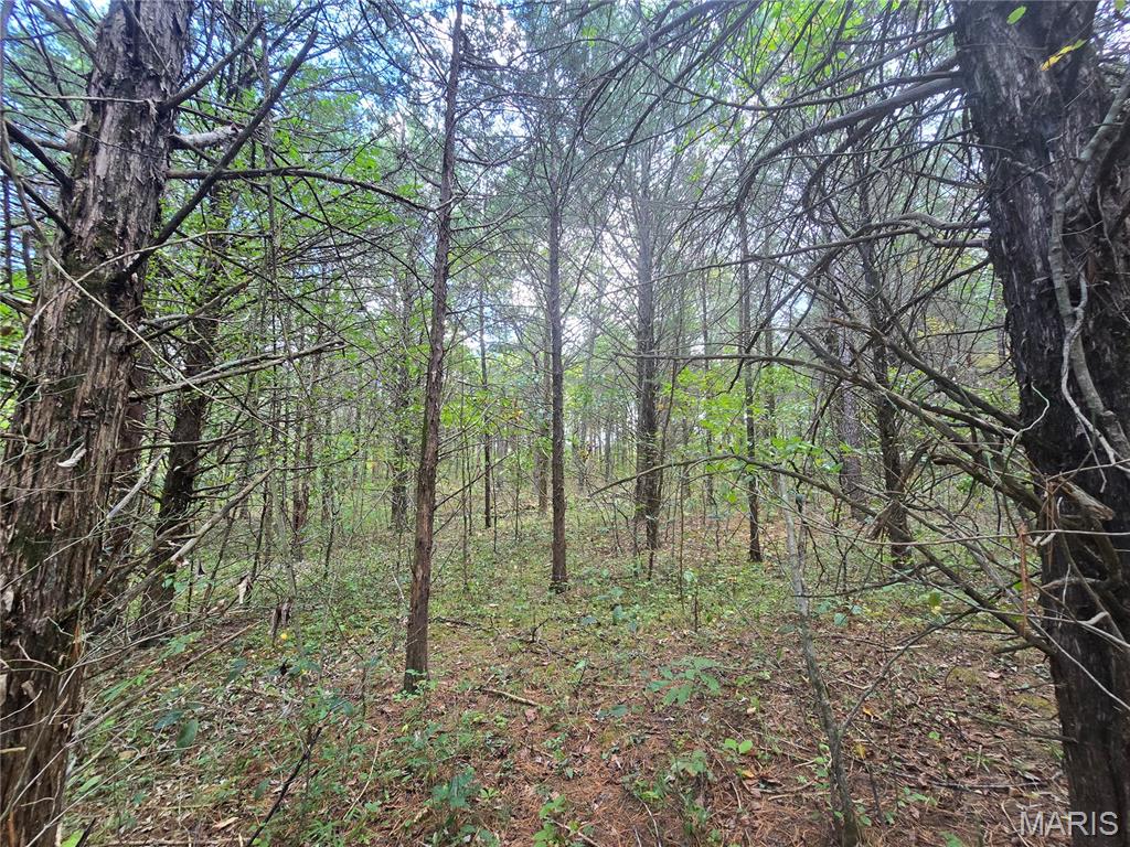 30 Acres Highway Cadet, MO 63630 - Photo 75 of 79