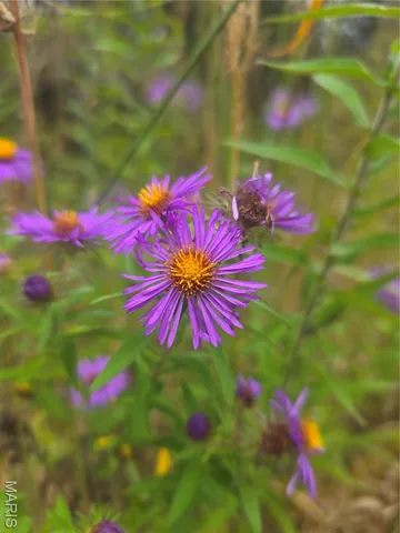 $142,500 | 30 Acres Highway, Cadet, MO 63630