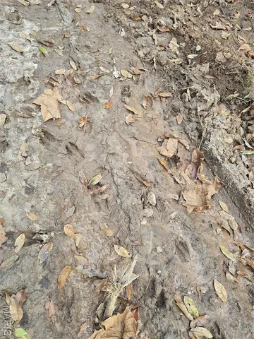 $142,500 | 30 Acres Highway, Cadet, MO 63630