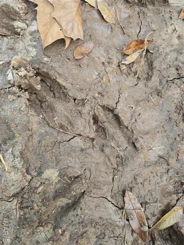 $142,500 | 30 Acres Highway, Cadet, MO 63630